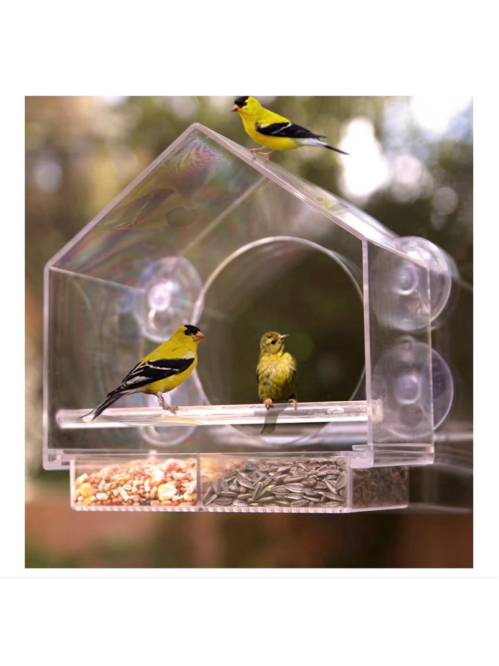 NEW Window Weather Proof Transparent Acrylic Bird Feeder Watching for cats - Picture 8 of 8